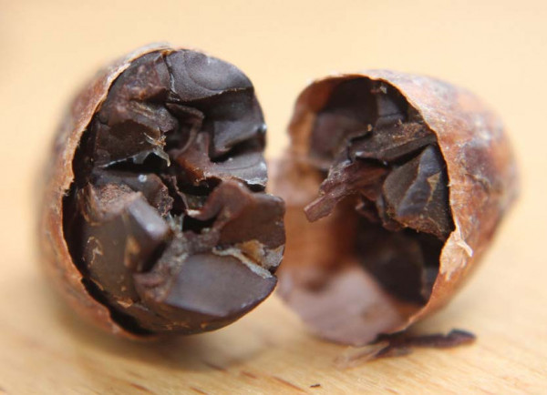 Kakaobohnen geröstet, mit Schale - 90g, Bio