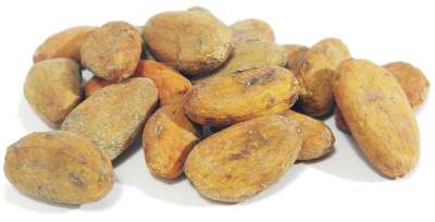 Bio fairtrade Kakaobohnen - roh, geröstet oder Rohkost | Edelmond