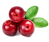 Cranberry-Frucht in Milchschokolade, Bio + Fair